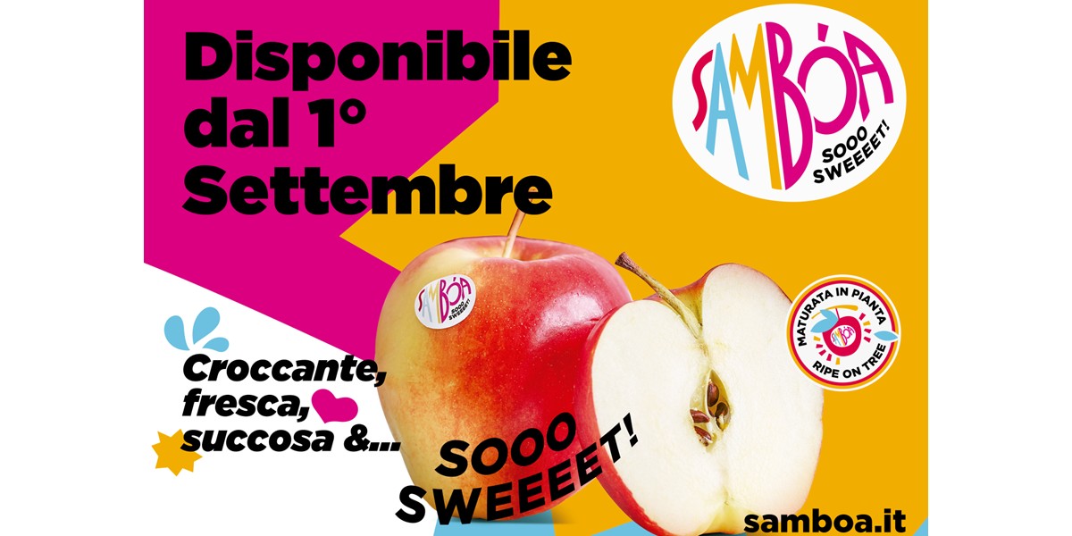 Sambóa: al via il conto alla rovescia per la nuova stagione